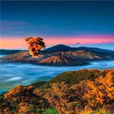 逍遥志小米版下载
