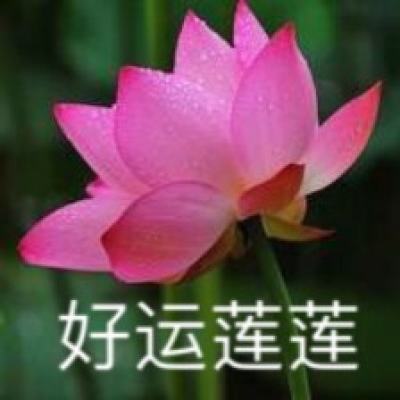 元素契约手游下载